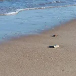 Kotedzas Poilsiui Ferienhaus Palanga
