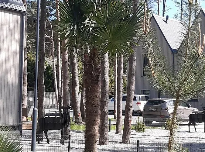 Kotedzas Poilsiui בית נופש פלאנגה