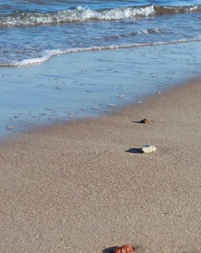 Kotedzas Poilsiui Holiday home Palanga